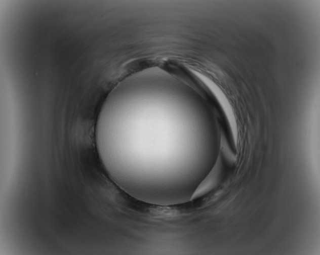 X0000086770421200704201808