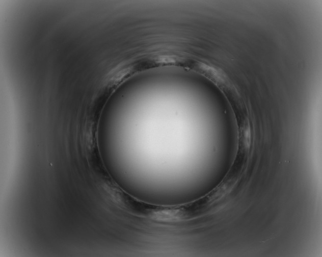X0000086770422200704201808