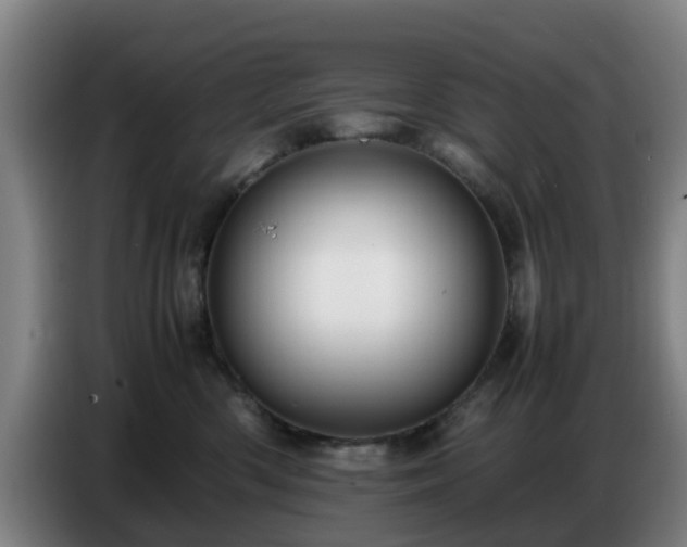X0000086770426200704201808