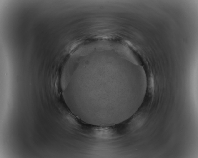 X0000086770428200704201808