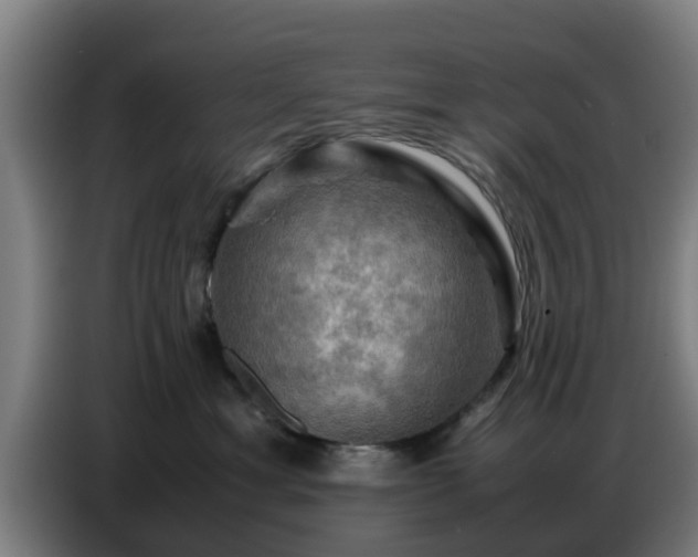 X0000086770429200704201808