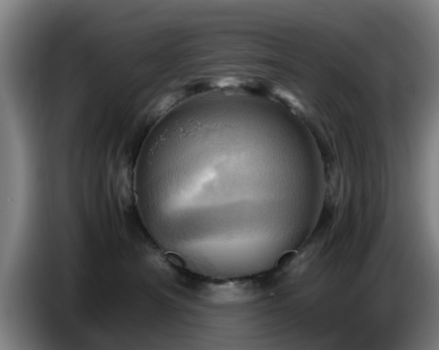 X0000086770430200704201808