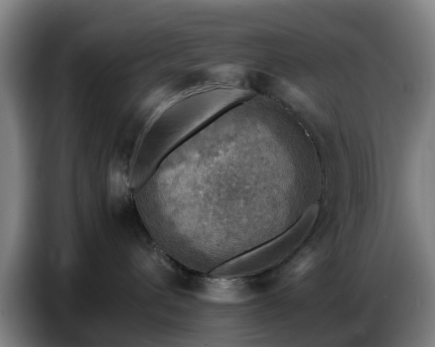 X0000086770432200704201808