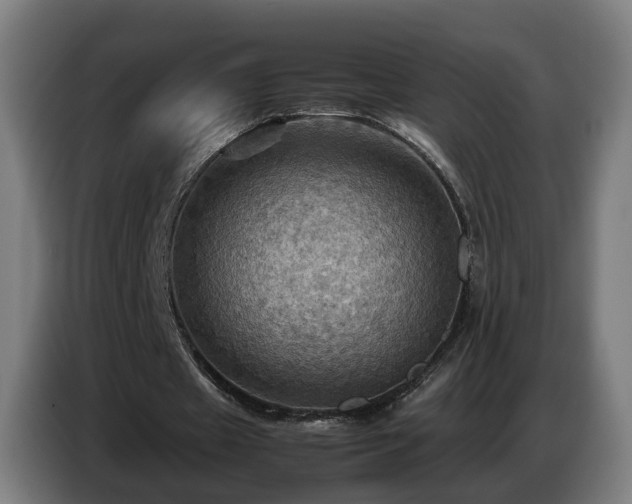 X0000086770433200704201807
