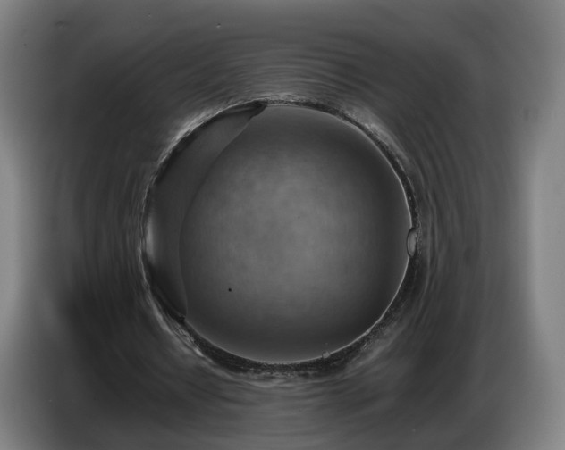 X0000086770434200704201807