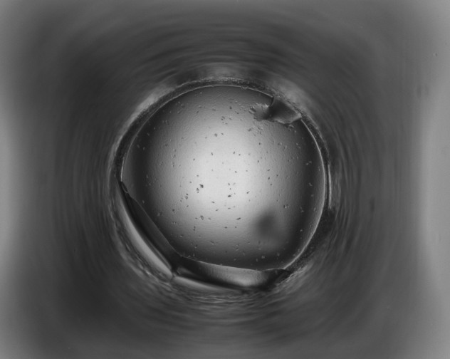 X0000086770435200704201807