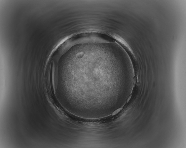 X0000086770436200704201807