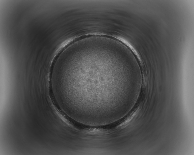 X0000086770437200704201807