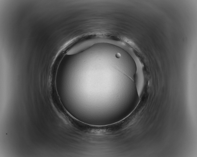 X0000086770440200704201808