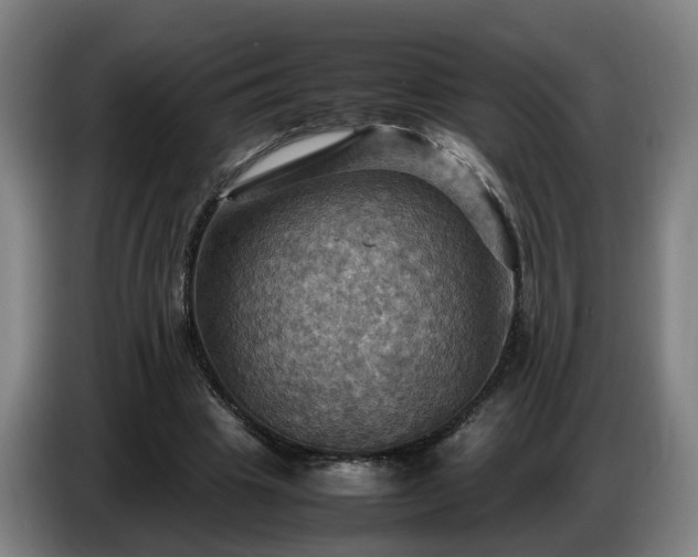 X0000086770441200704201808