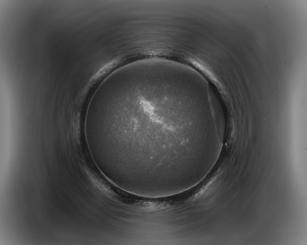 X0000086770442200704201808