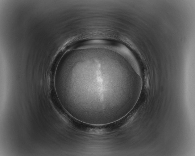 X0000086770444200704201808