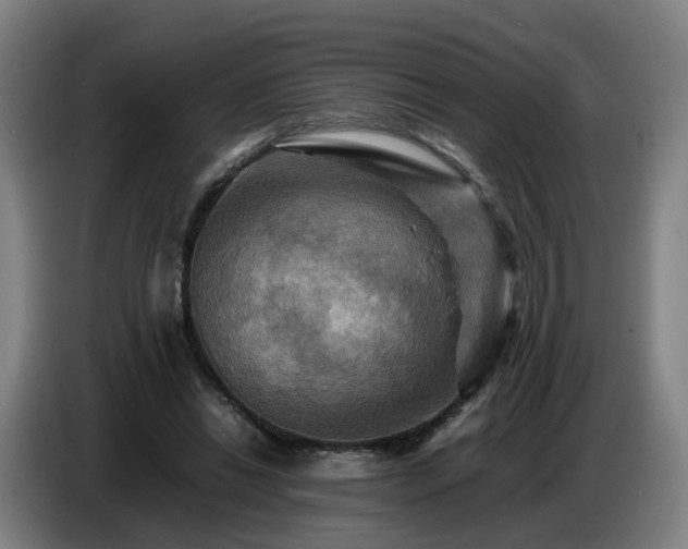 X0000086770446200704201808
