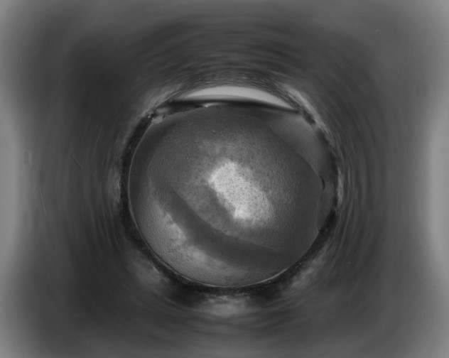 X0000086770447200704201808