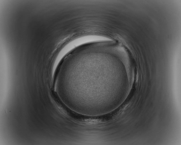 X0000086770448200704201808