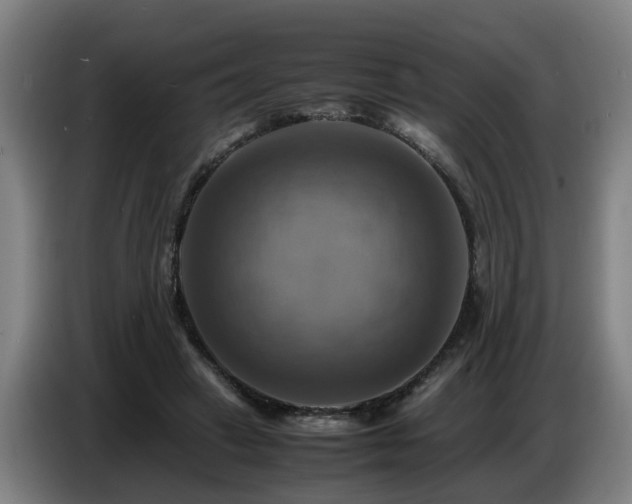 X0000086770449200704201808