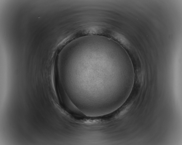 X0000086770450200704201808