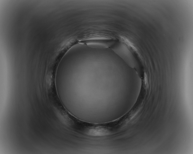 X0000086770451200704201808