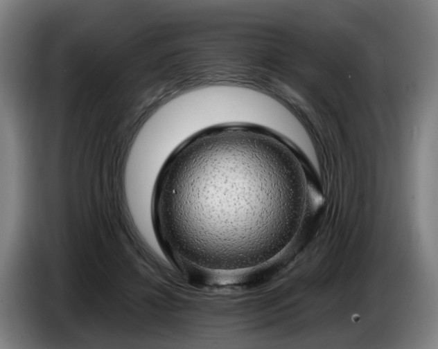 X0000086770452200704201808