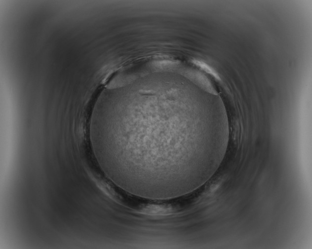 X0000086770455200704201808