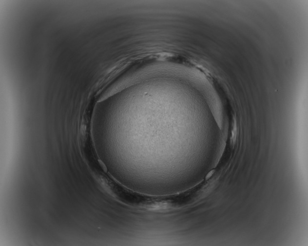 X0000086770456200704201808
