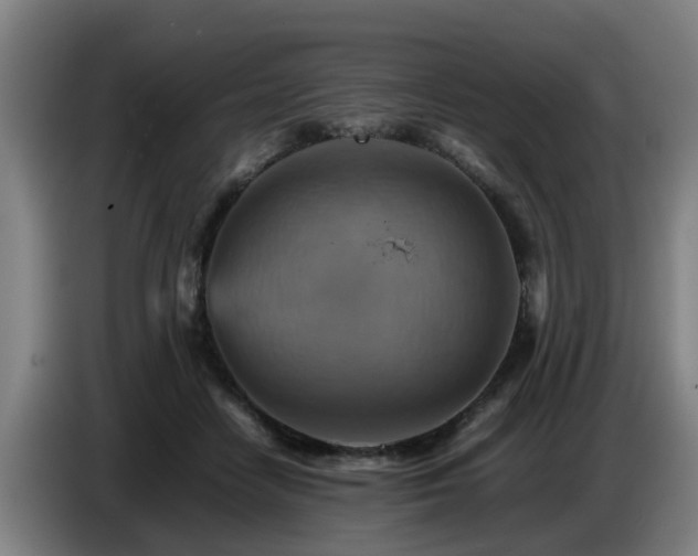 X0000086770458200704201808