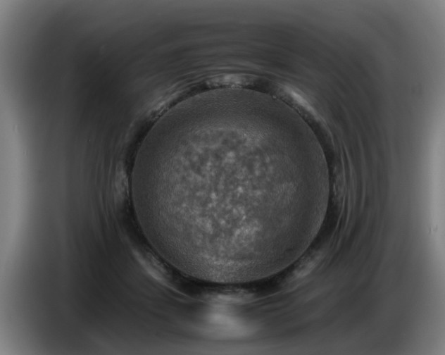 X0000086770459200704201808
