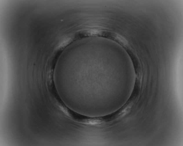 X0000086770462200704201808