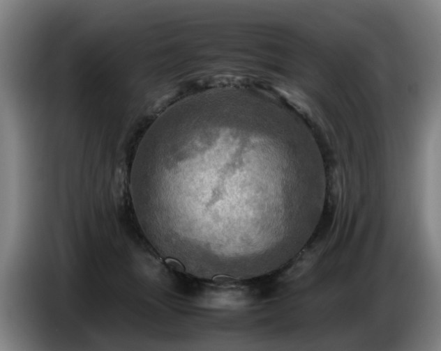 X0000086770463200704201808