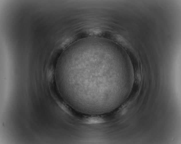 X0000086770468200704201808