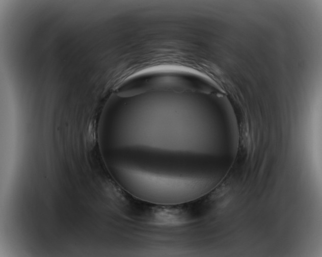 X0000086770471200704201808
