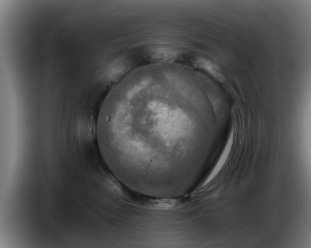 X0000086770474200704201808