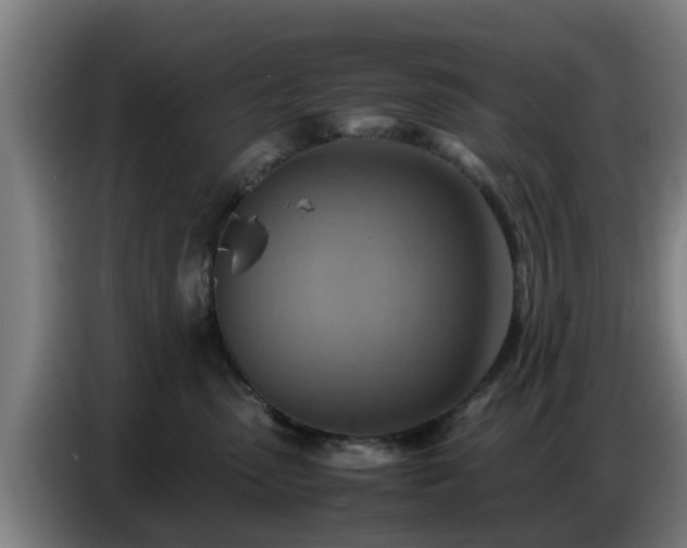 X0000086770475200704201808