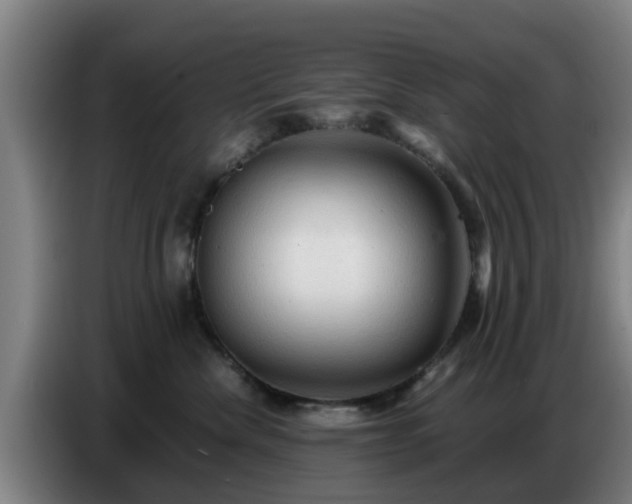 X0000086770476200704201808