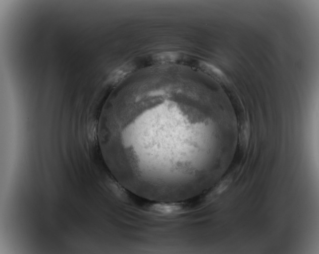 X0000086770477200704201808