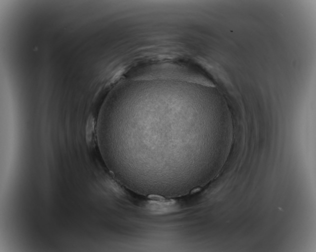 X0000086770480200704201808