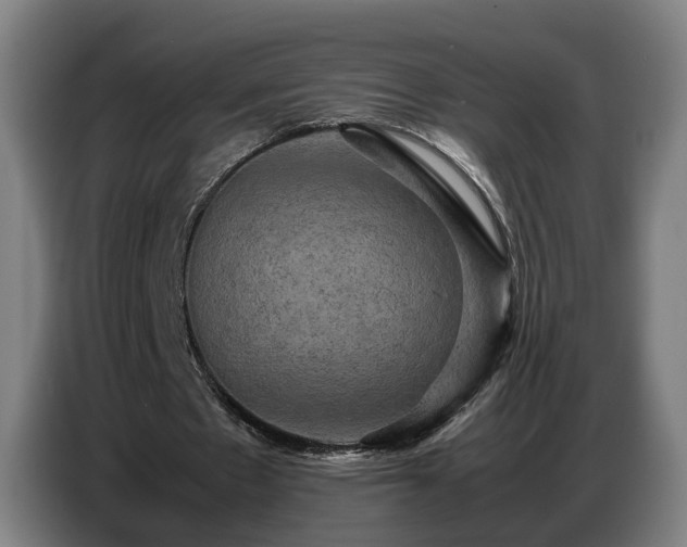X0000086770481200704201807