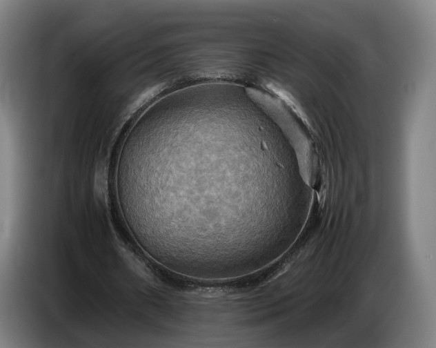 X0000086770482200704201807