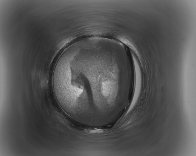 X0000086770483200704201807