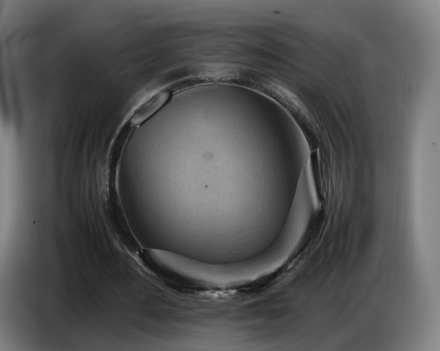 X0000086770484200704201807