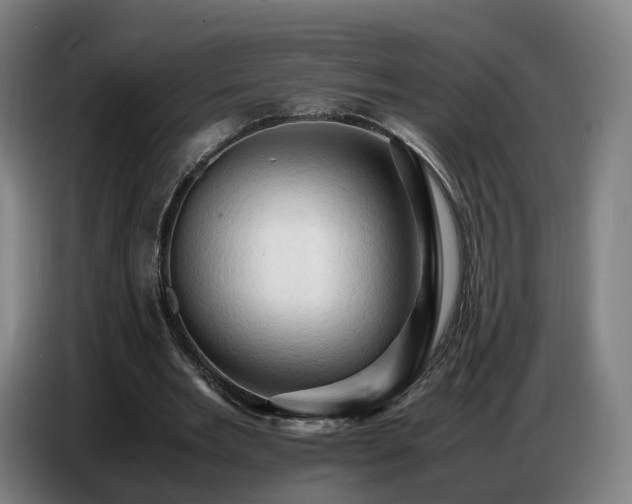 X0000086770485200704201807