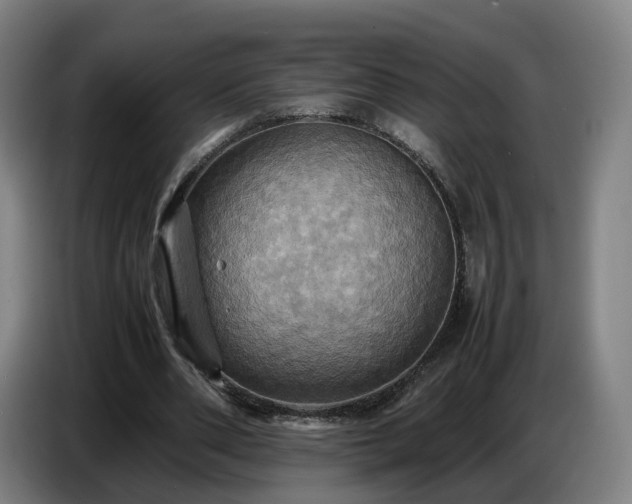 X0000086770486200704201807
