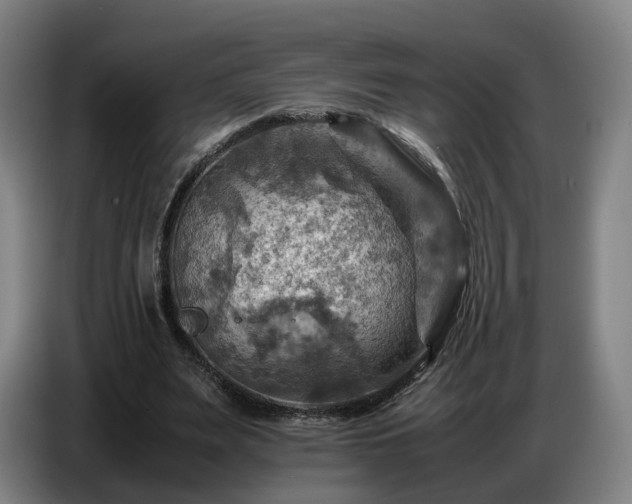X0000086770487200704201807