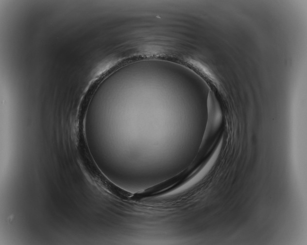 X0000086770488200704201807