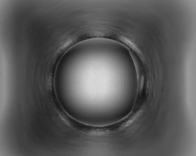 X0000086770489200704201807
