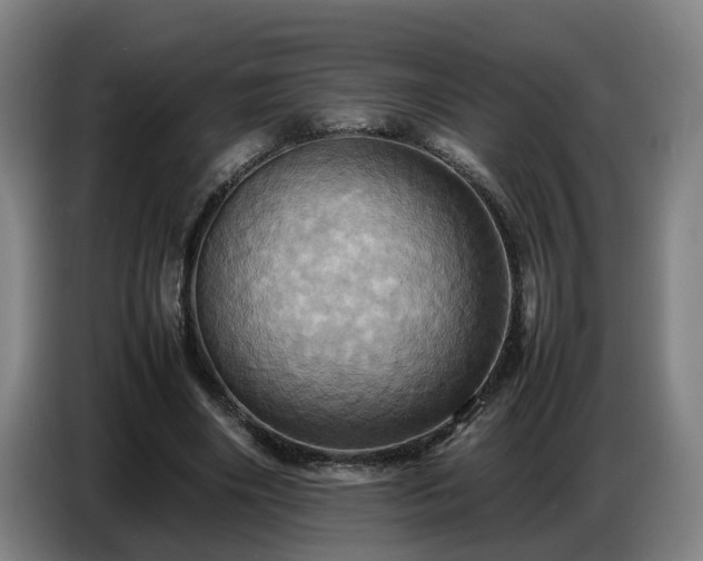 X0000086770490200704201807