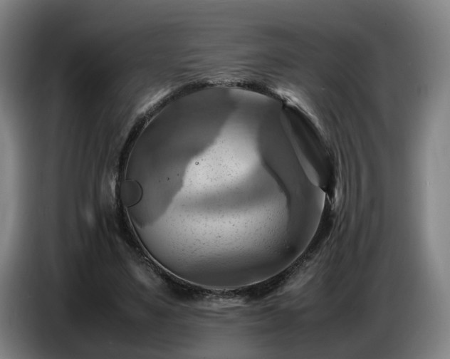 X0000086770491200704201807