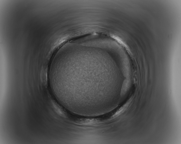 X0000086770493200704201807