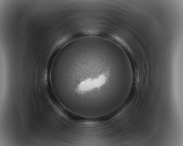 X0000086770494200704201807