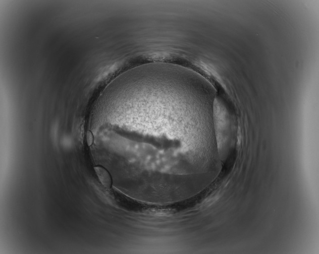 X0000086770495200704201807